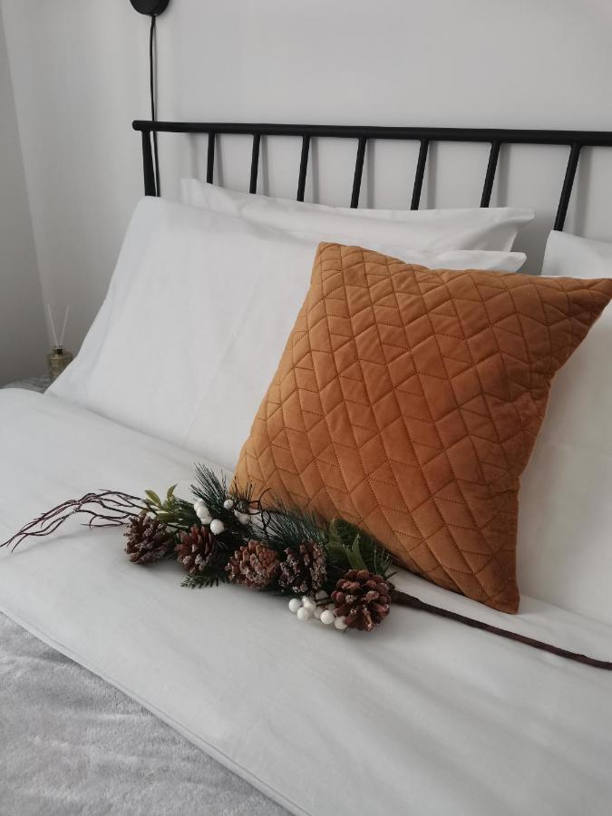 Apartman Kardas Vrnjačka Banja 外观 照片